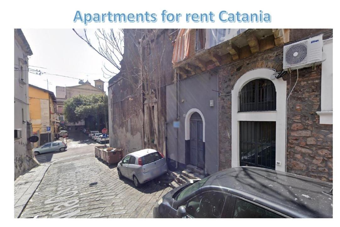 For Rent Apartment