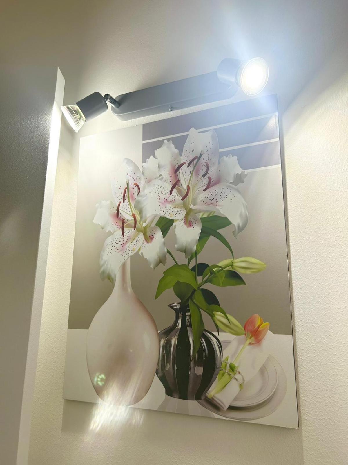 For Rent Apartment *